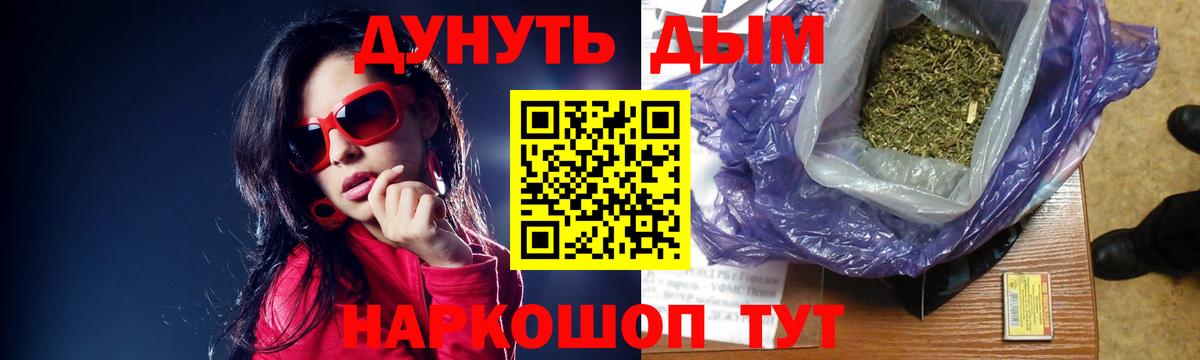 Канабис сатива Томск